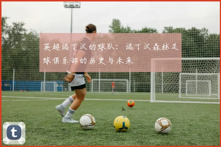 英超诺丁汉的球队：诺丁汉森林足球俱乐部的历史与未来